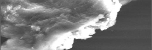 James H. Dickerson banner