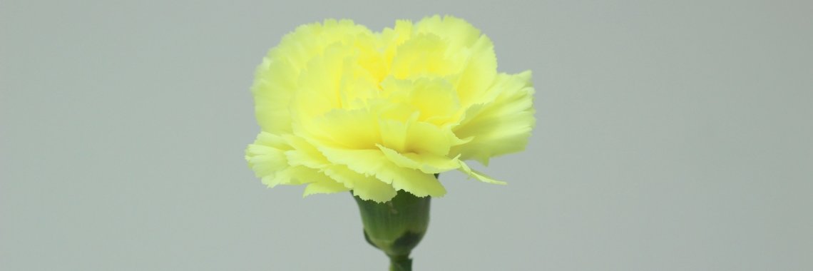chuck5470's profile banner image