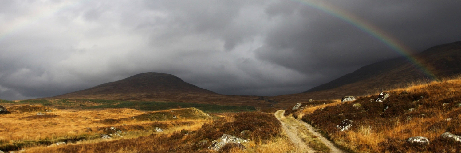 Катя Калинина banner