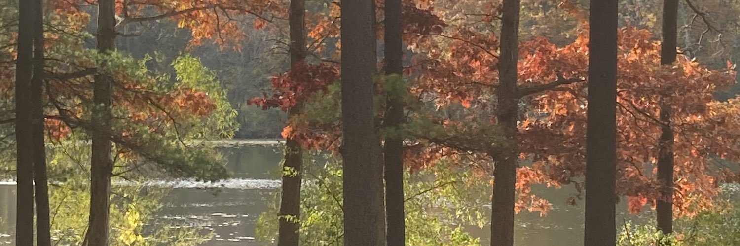 TammyMasterKey's profile banner image