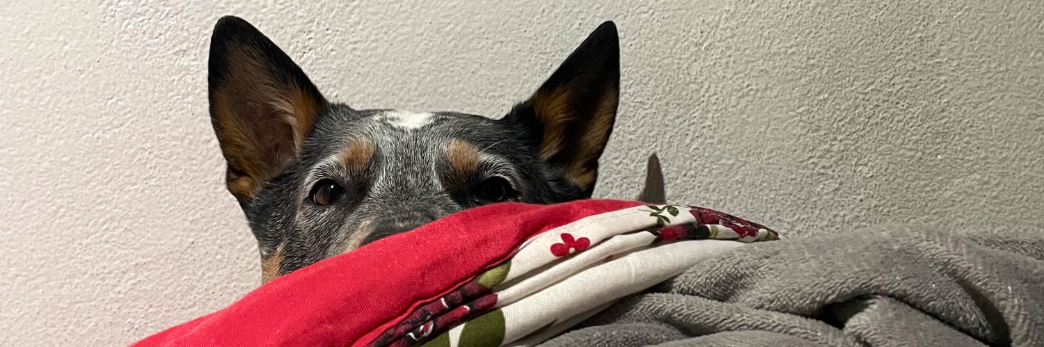 OtaavioDuarte's profile banner image