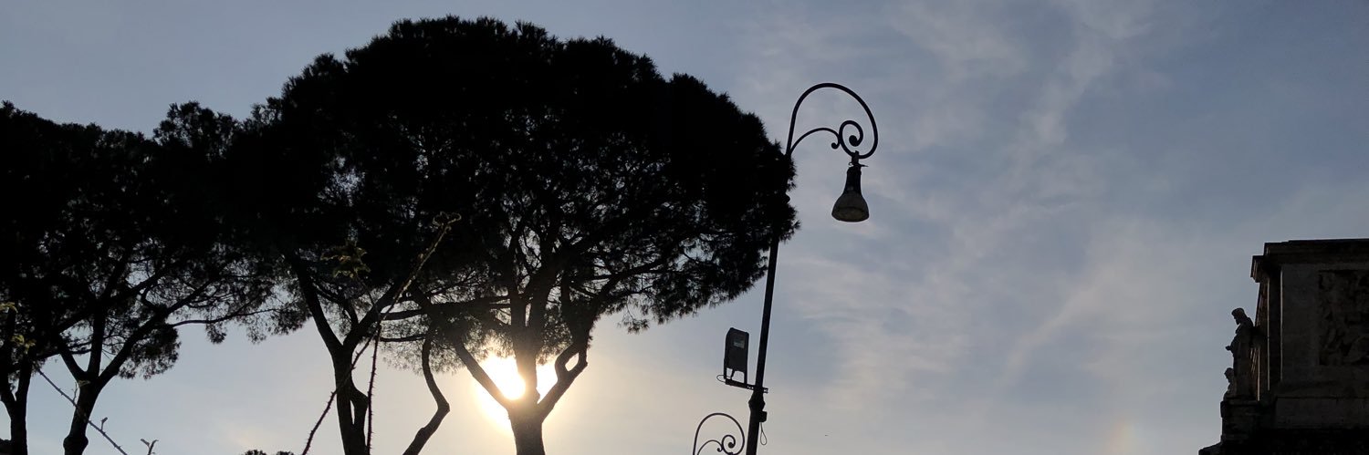 adudemulti's profile banner image