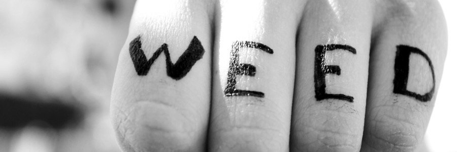 WeedOnlyTweets's profile banner image