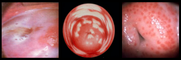 gynepunk's profile banner image