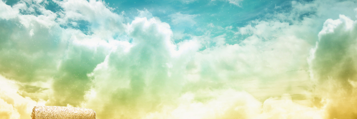Инна Мартынова banner