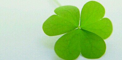 🍀rsths banner