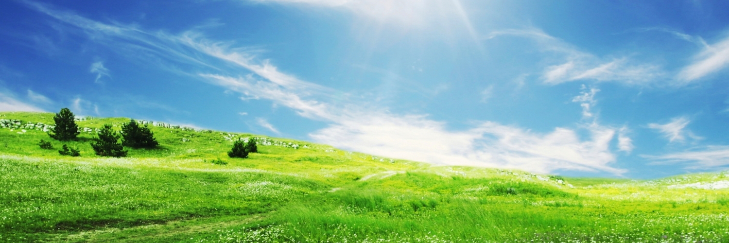 Женя Орлова banner