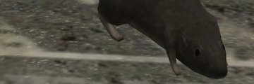 bingilbo's profile banner image