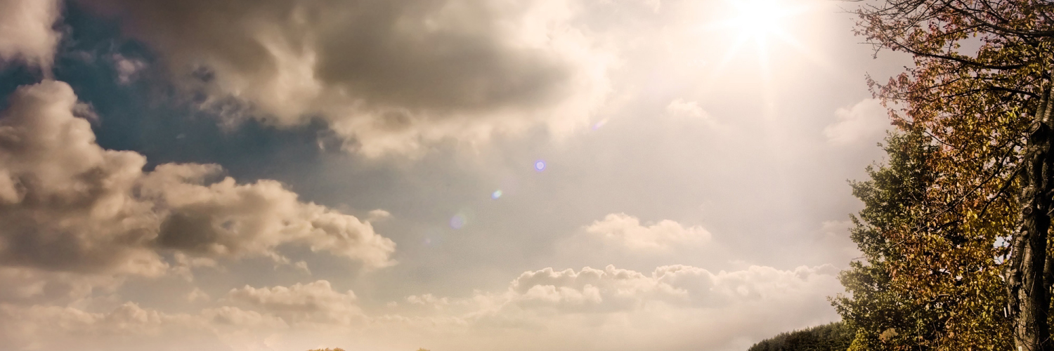 Оля Савельева banner