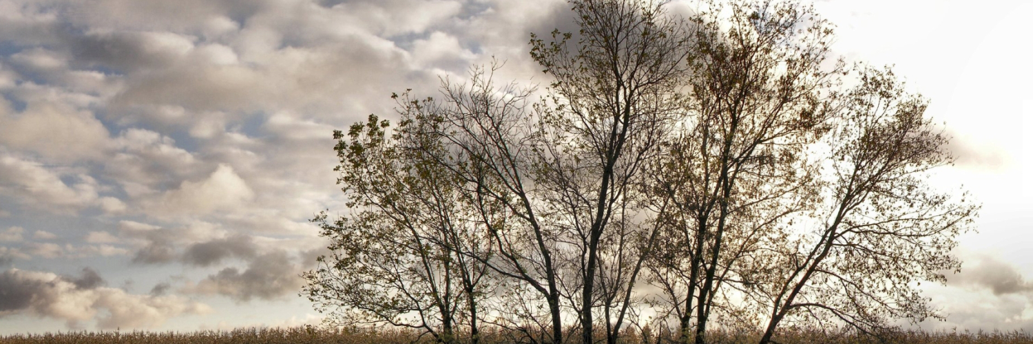 davidatihumon's profile banner image
