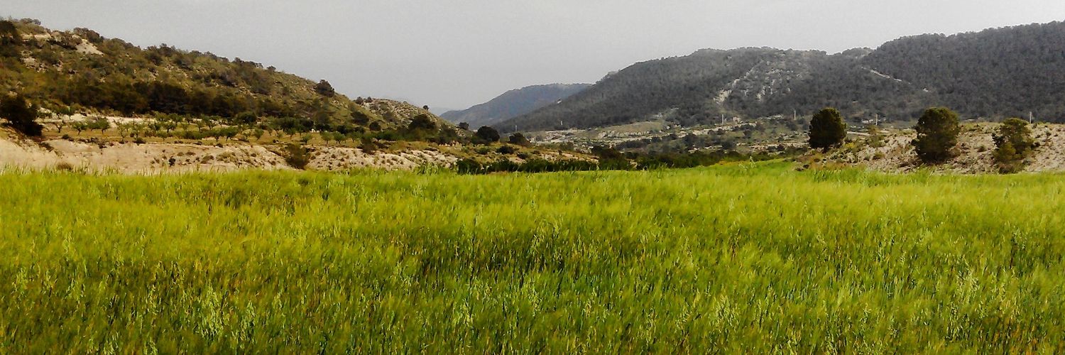 ViajarLC's profile banner image