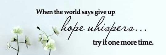 TriptishreeSaha's profile banner image