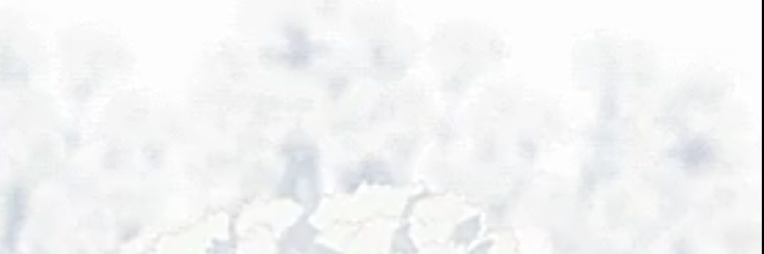 Echo-land banner