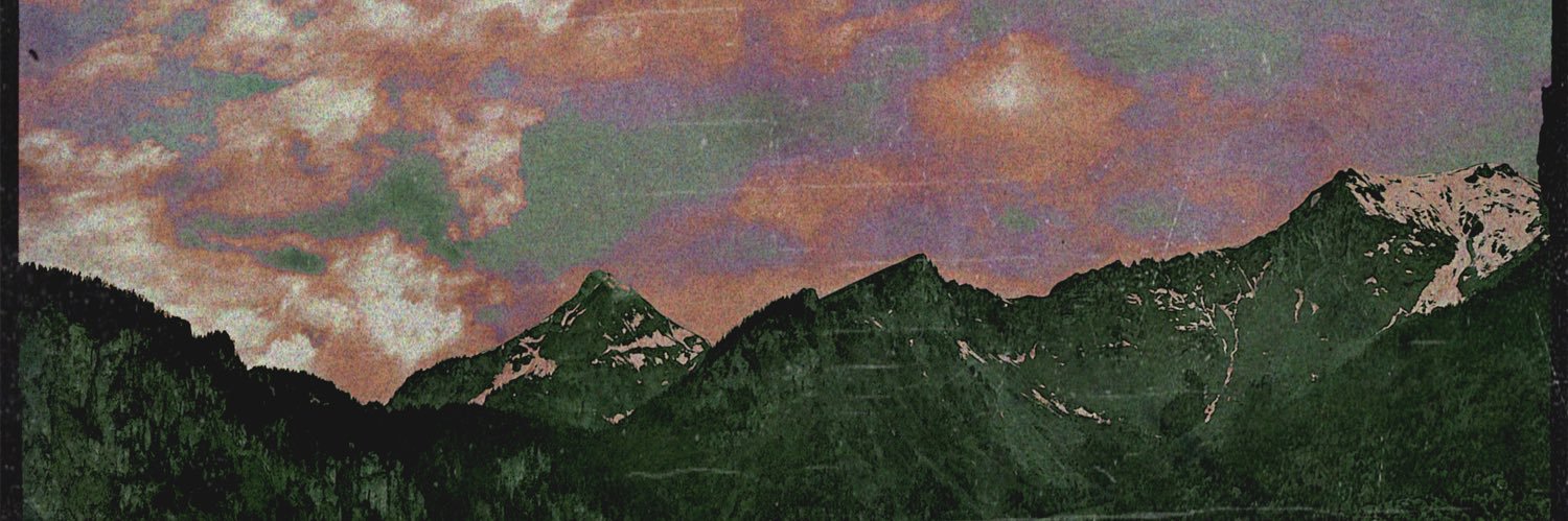 Vulpilex_'s profile banner image