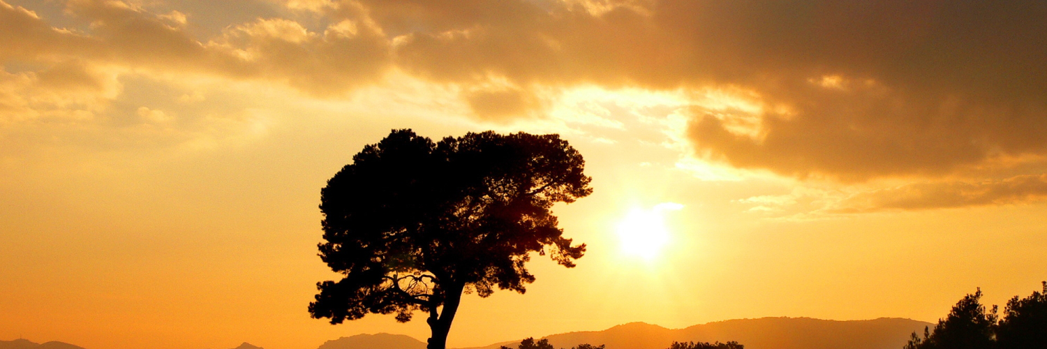 johnoxofahow's profile banner image