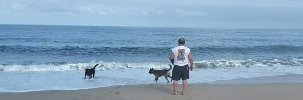 JPicheles's profile banner image