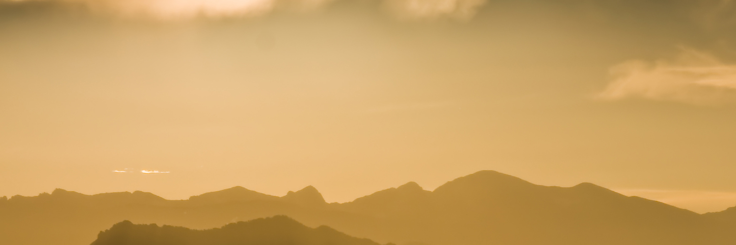 Галина Борисова banner