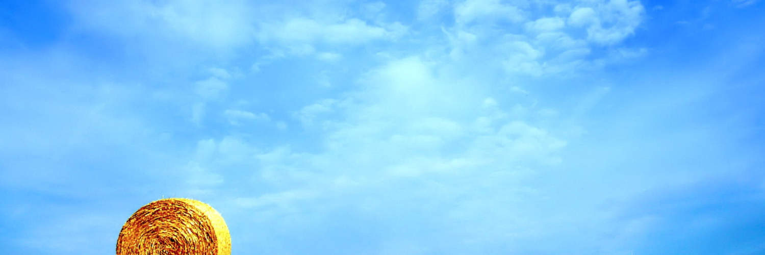 Анна Лебедева banner
