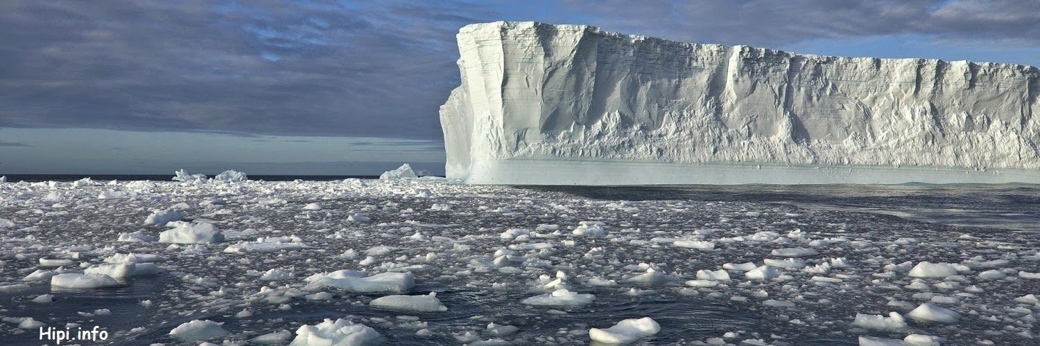 Свиногузовa Людмила banner