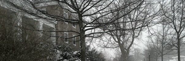 Jelisa Rushton banner
