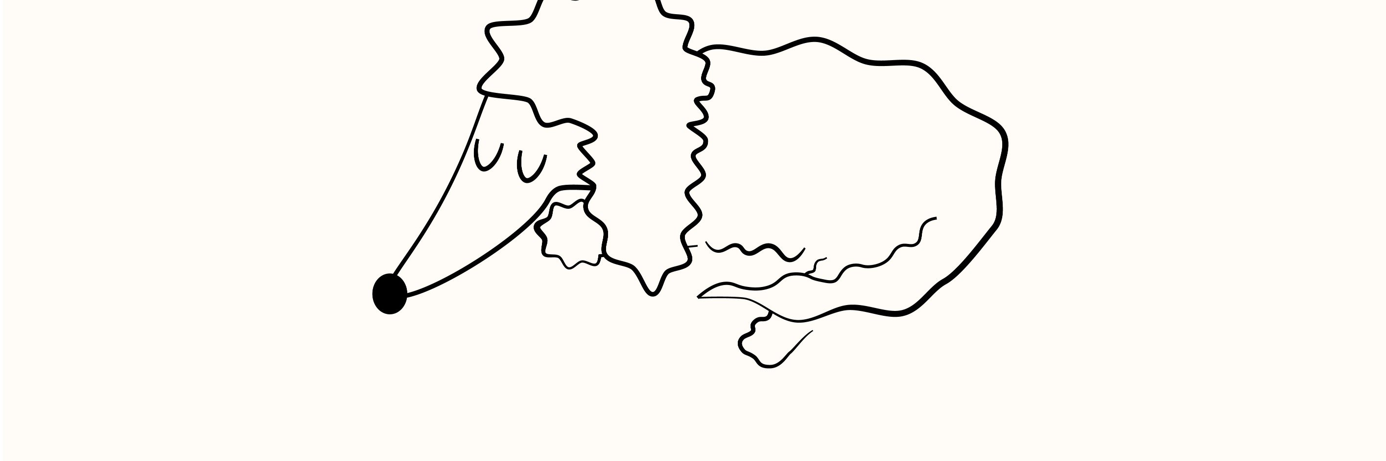 KittoKatsuV's profile banner image
