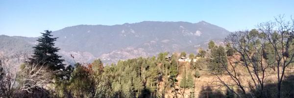 bakingtray Profile Banner