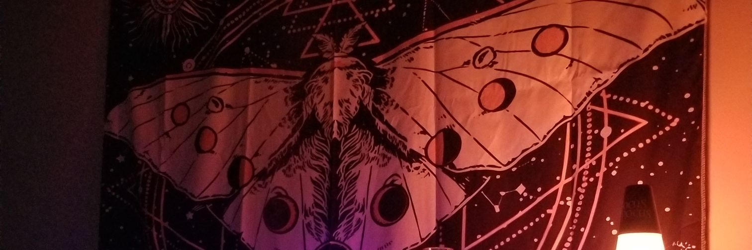EnbyCherry's profile banner image