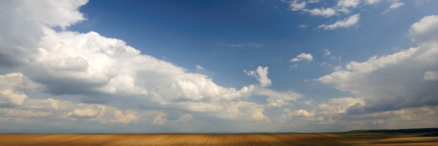 Виктория Александров banner
