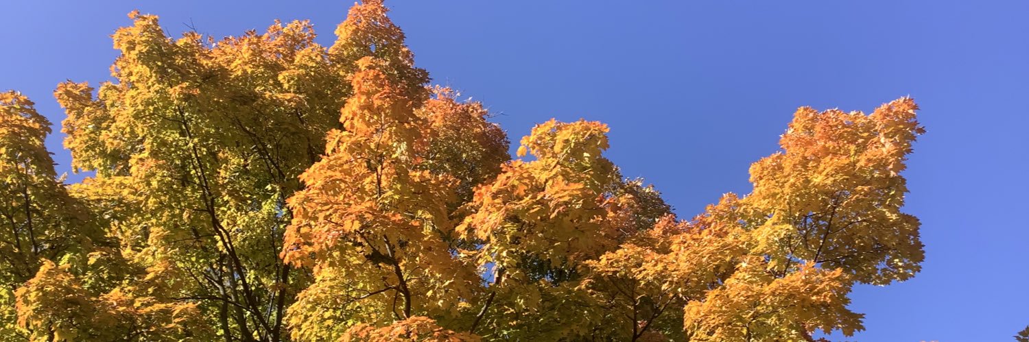 gnurse's profile banner image