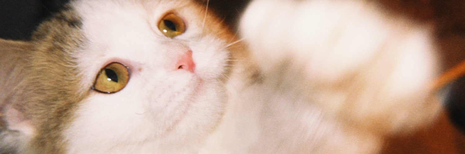 Owlseiun's profile banner image