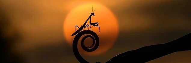 craaazy_guy's profile banner image