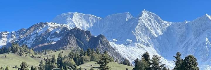 Ghulamuddin (GD) banner