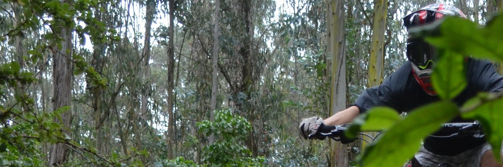 Marcelo Aldás banner