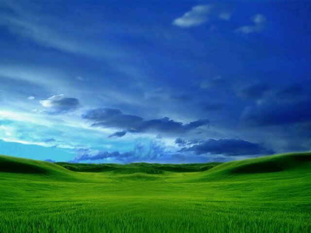 Papa_Kia's profile banner image