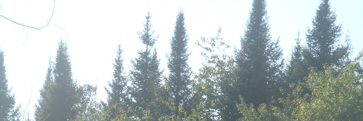 KWerner15's profile banner image
