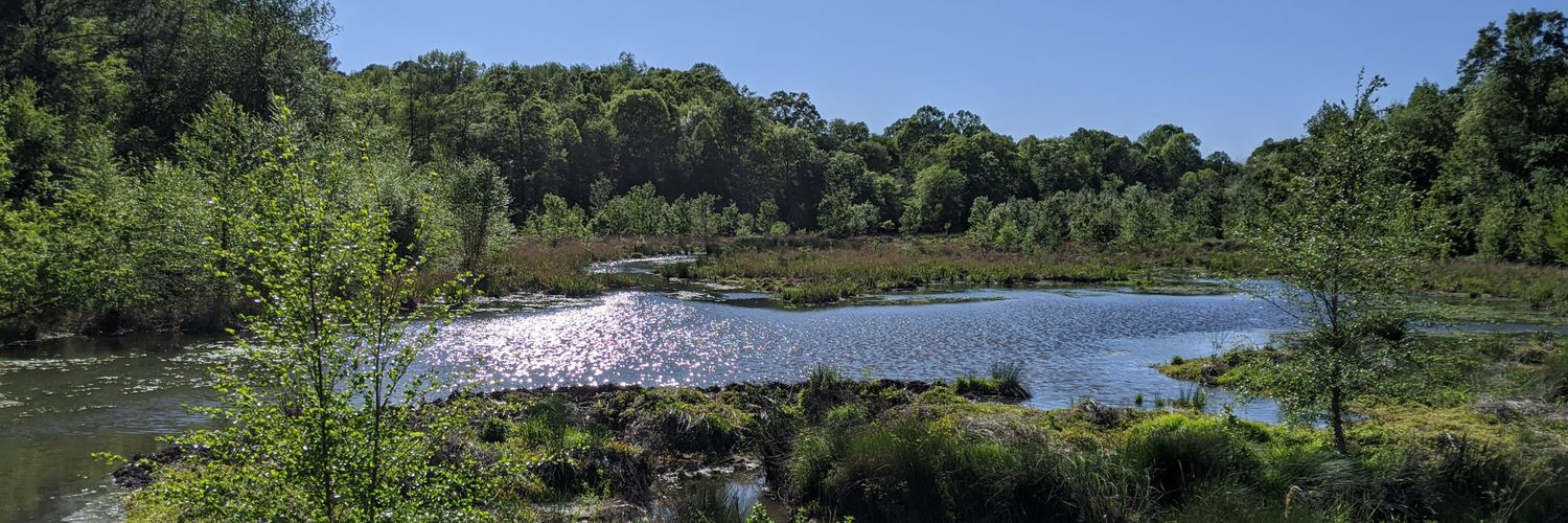 Mauricio Teixeira banner