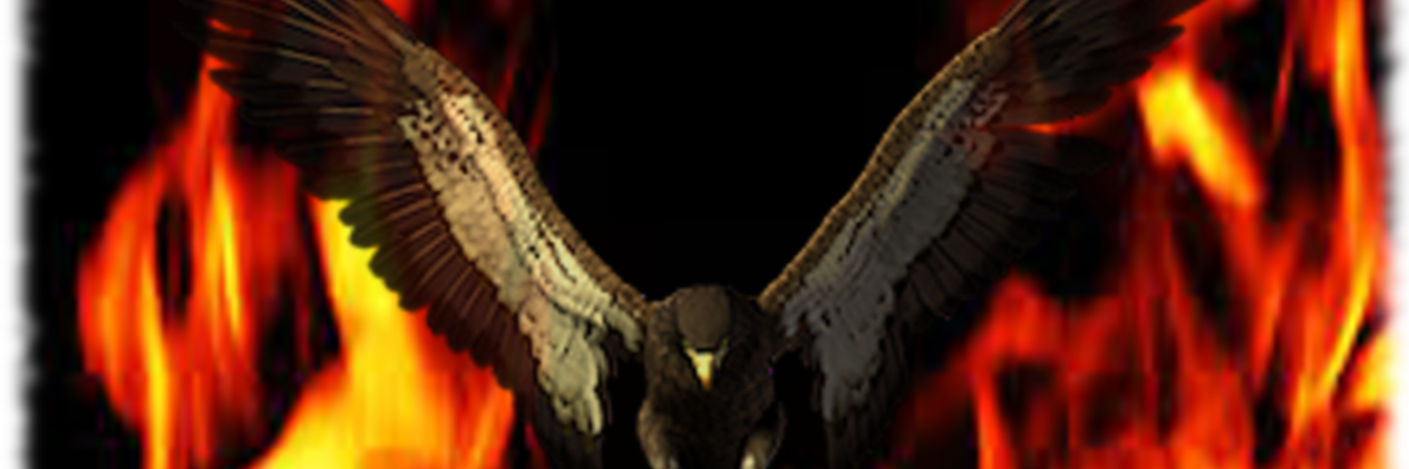 pajarillofs's profile banner image