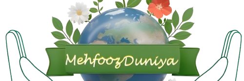 MehfoozTanha's profile banner image