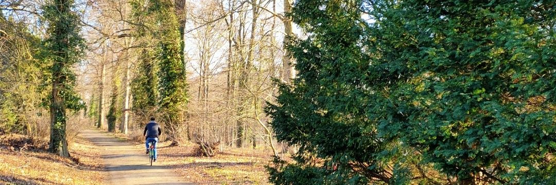 Jon De Aguirre banner