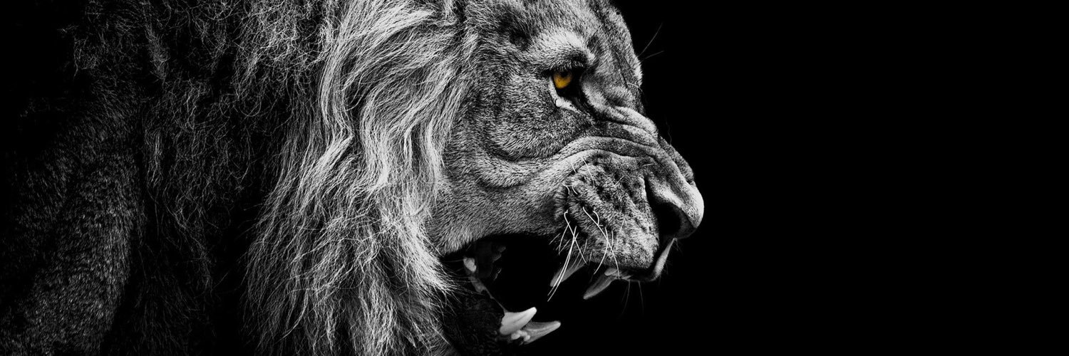 Watcher305's profile banner image