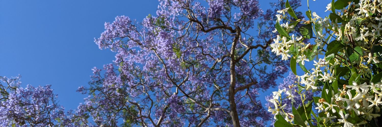 amelbow's profile banner image