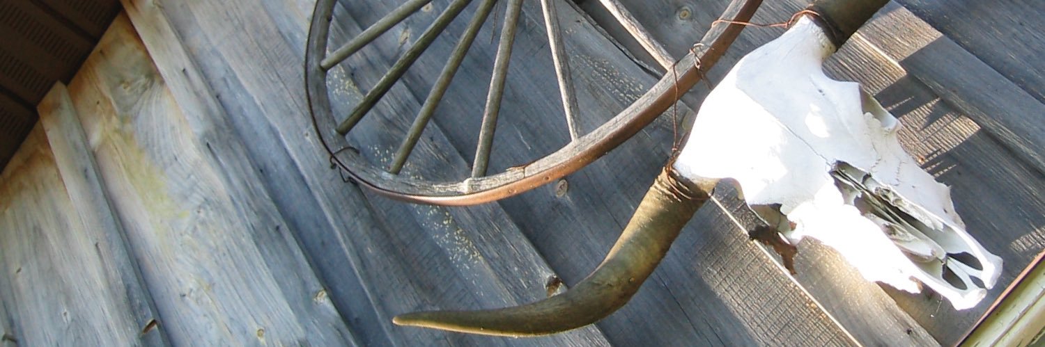 Bruce Voss banner