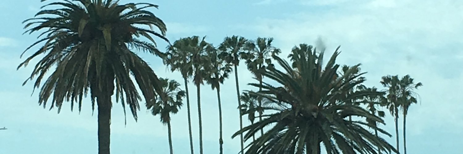 SydneyCullop's profile banner image