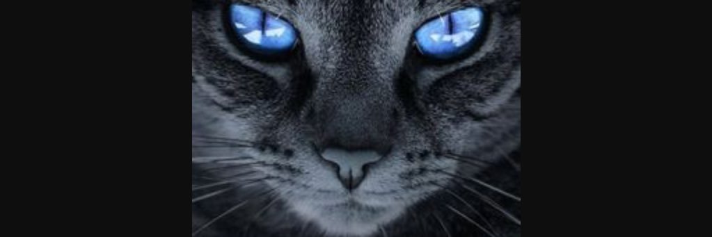 dinkyscooter's profile banner image