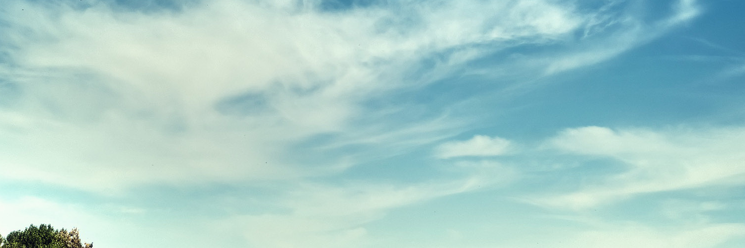 Елена Власова banner