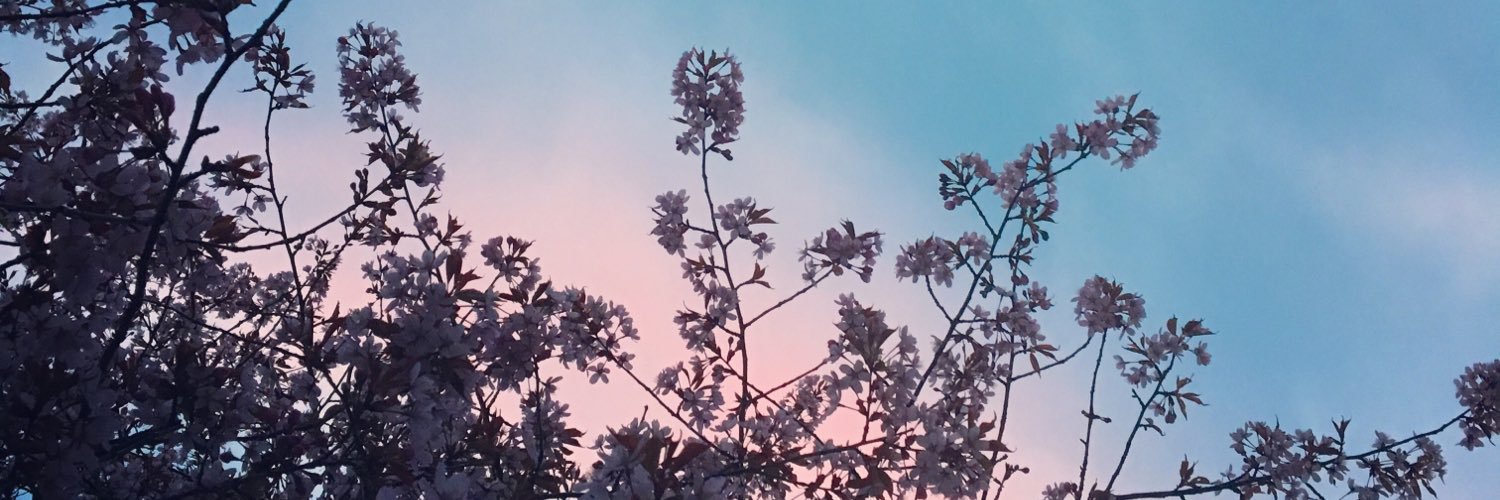 doyoulikebird's profile banner image