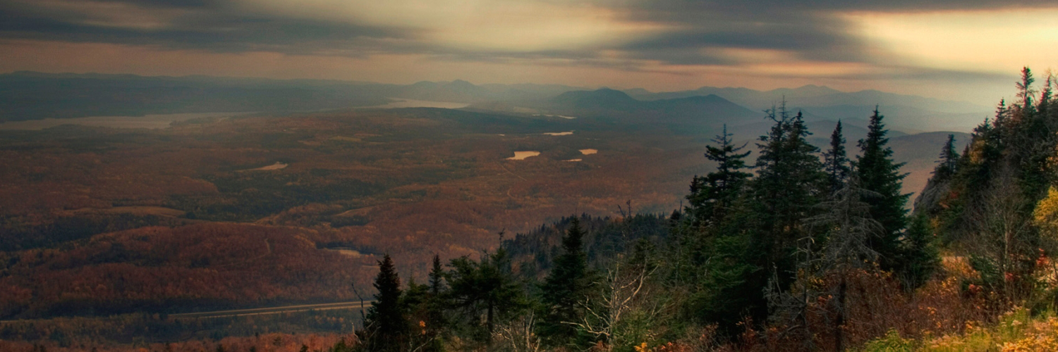 Анна Захарова banner
