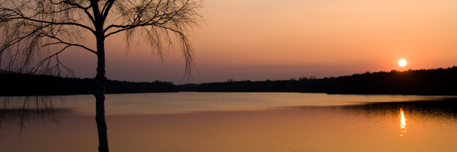 Яна Сергеева banner