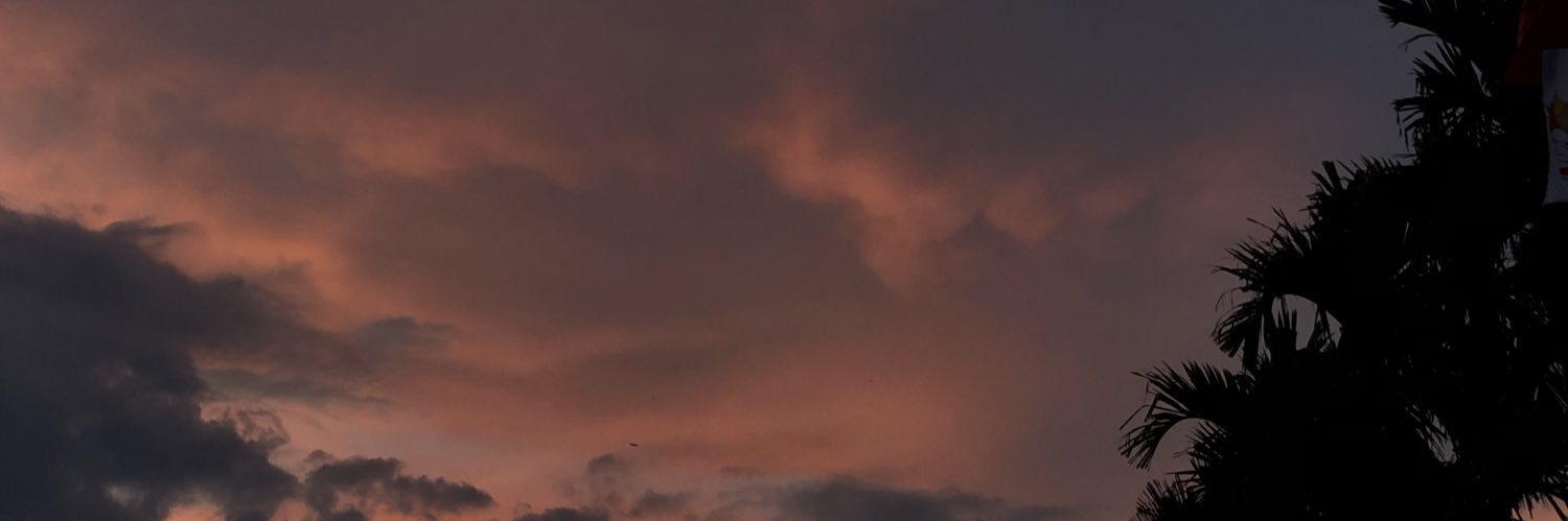 vanesdora's profile banner image