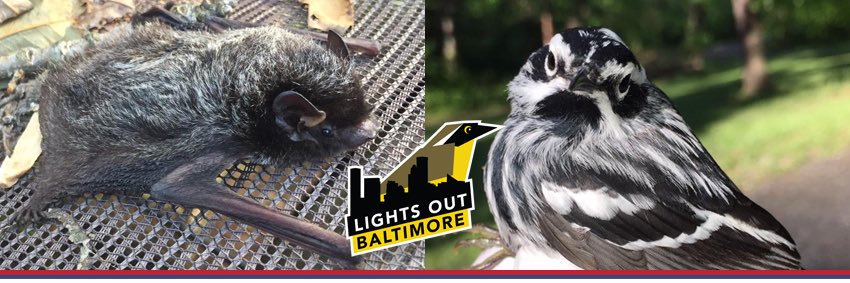 LightsOutBalt's profile banner image